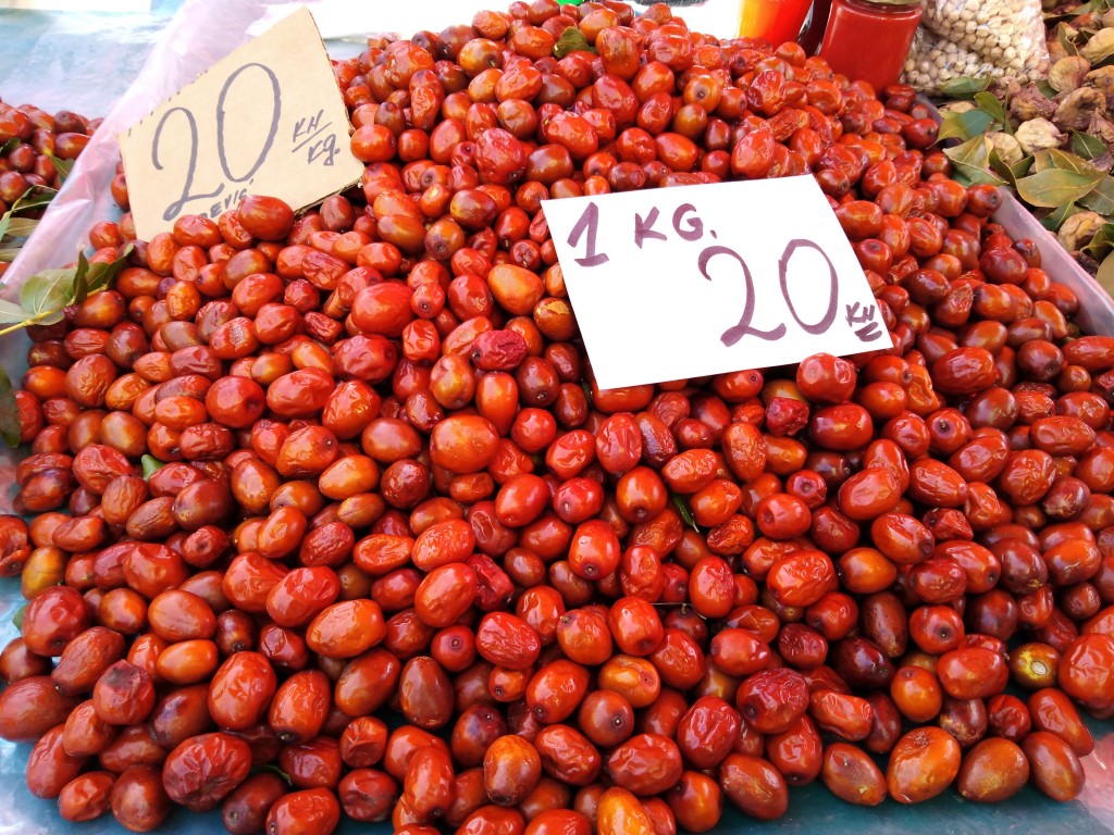 Jujube – red dates or Chinese date Jujube – red dates or Chinese date
