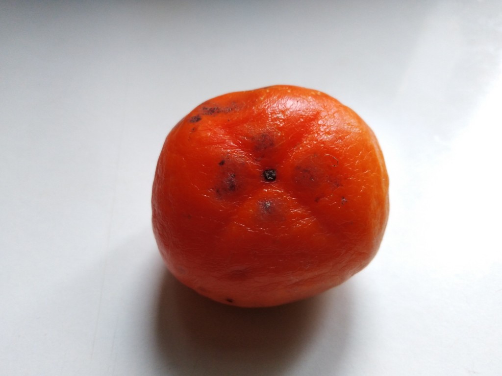 Persimmon – kaki fruit