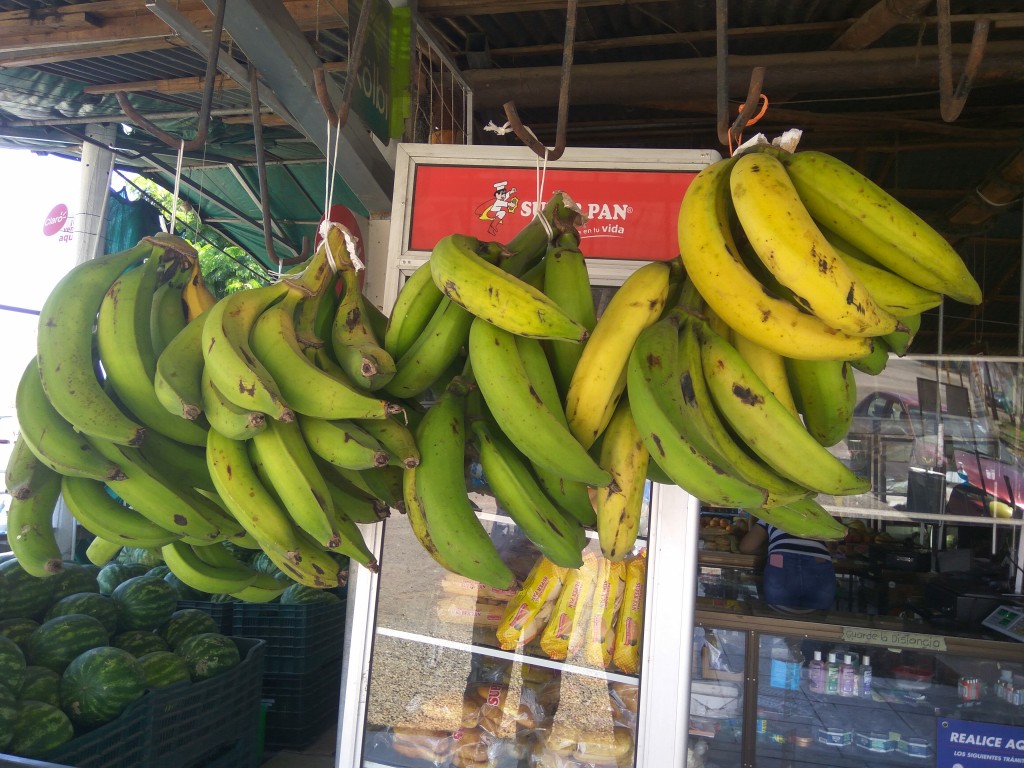 Plantains or bananas?