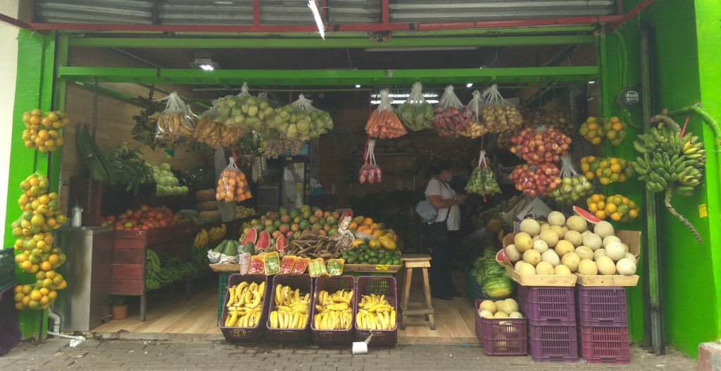 Costa Rican exotic fruits