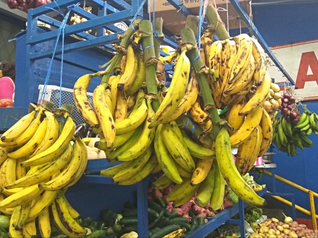 Plantains or bananas?