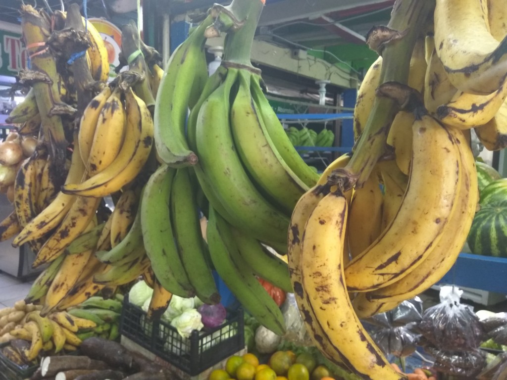 How to distinguish plantains and bananas