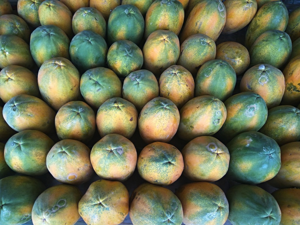 Papayas from Costa Rica.