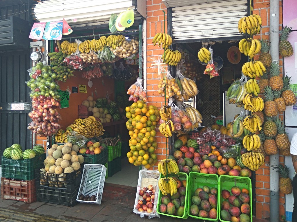 8 TOP most popular Costa Rican fruits and their health benefits
