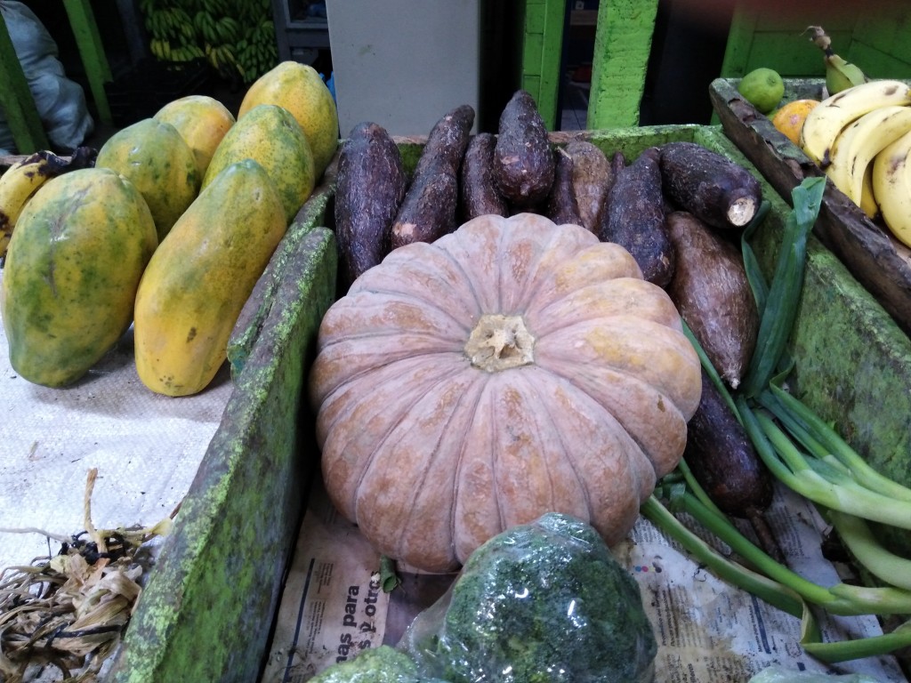 Pumpkin – Ayote/Calabaza – ‘Sazon’ - Costa Rica