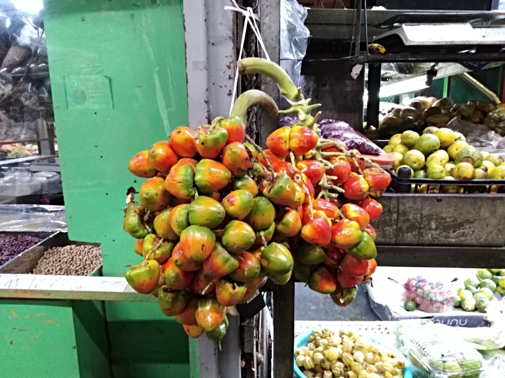 Pejibaye - Costa Rica Pejibaye - Costa Rica