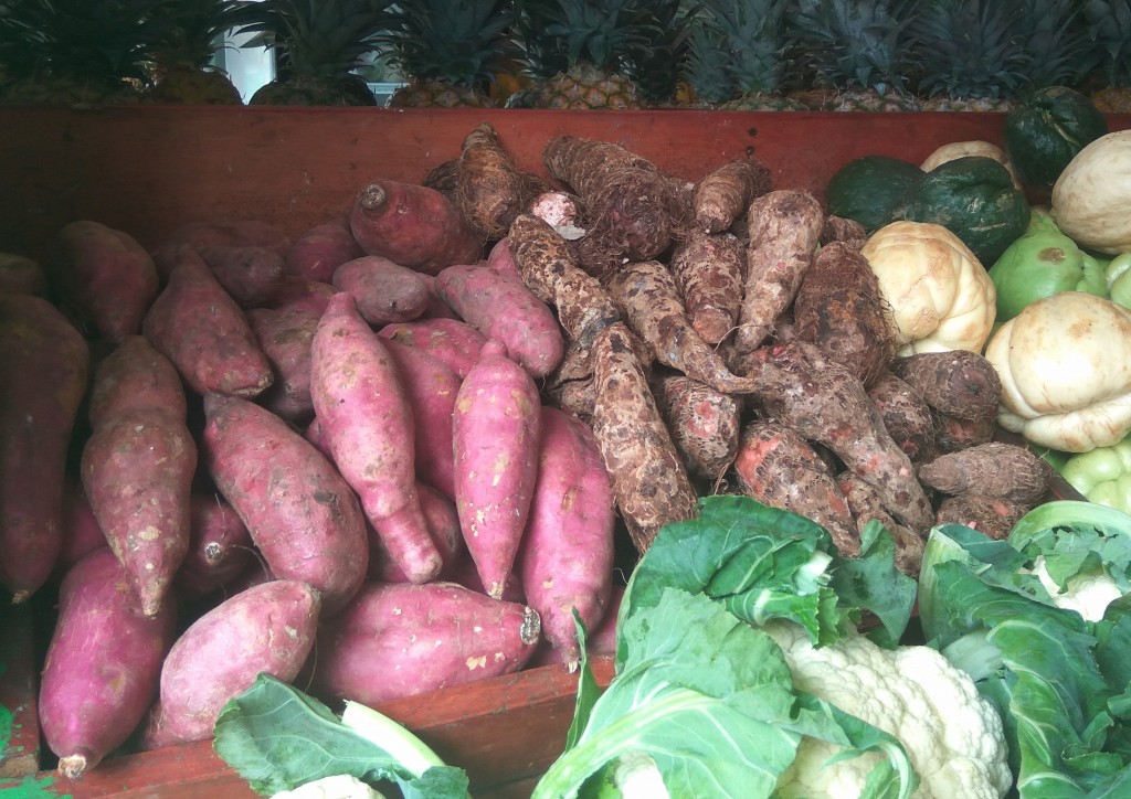 Camote – purple skin sweet potatoes - Costa Rica
