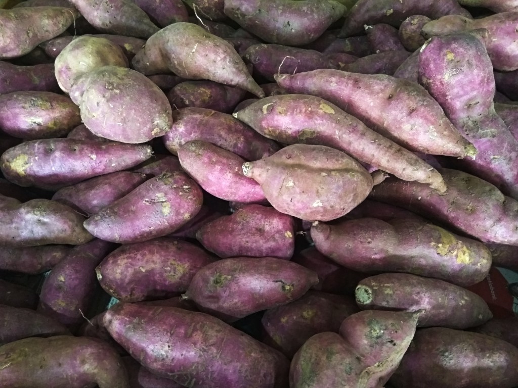 Camote – purple skin sweet potatoes - Costa Rica