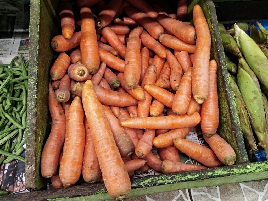 Carrots - Costa Rica