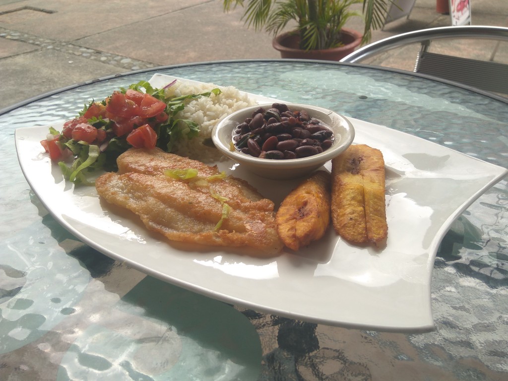 Casado with fish and fried plantains