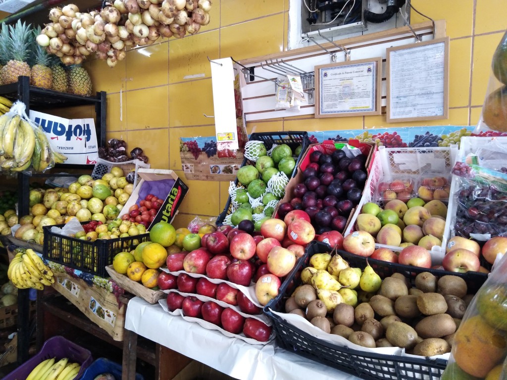 Costa Rican popular fruits