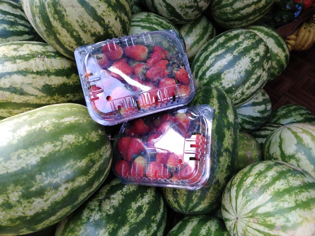 Costa Rican popular fruits - watermelons and strawberries