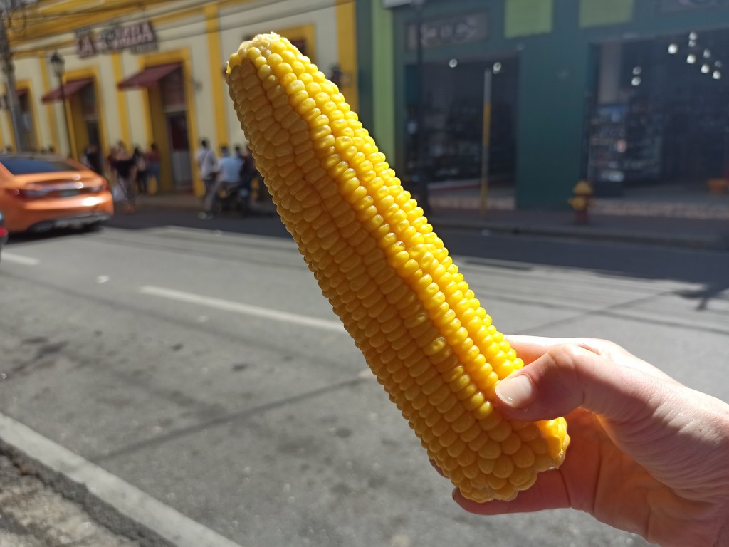 Maiz dulce - corn from the cob