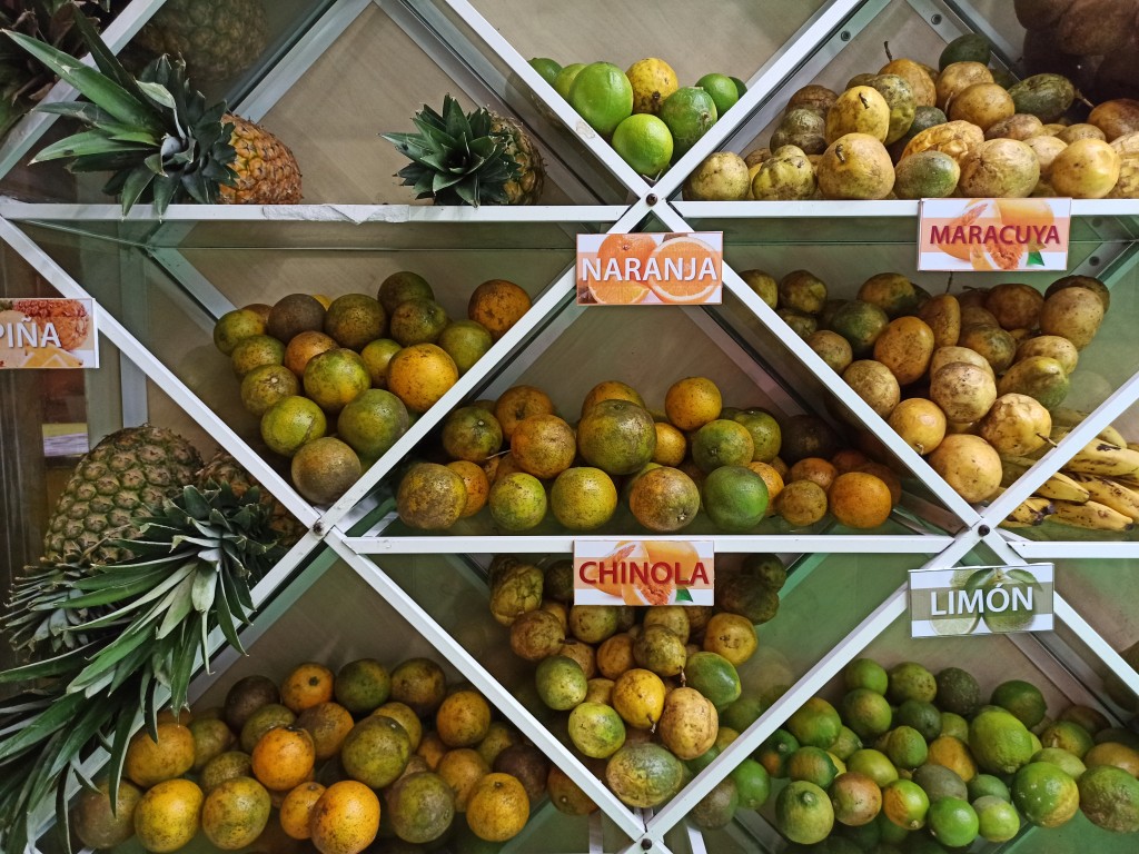 TOP 15 Exotic fruits you MUST try in the Dominican Republic
