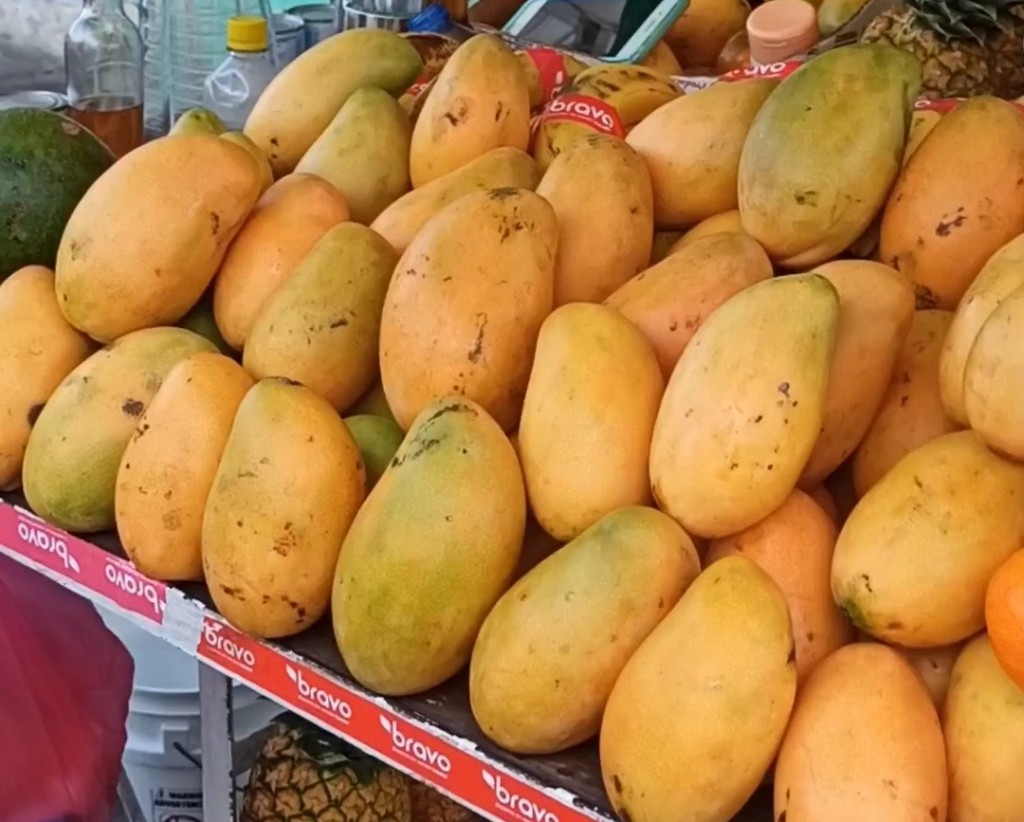 TOP 15 Exotic fruits you MUST try in the Dominican Republic - mangoes
