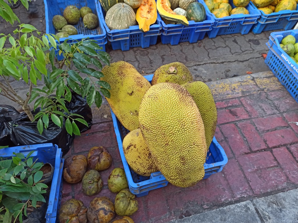 Fresh fruits - jackfruit - Sunday Asian Street food market in Santo Domingo