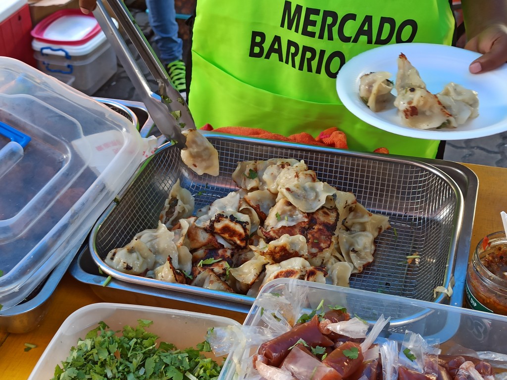 Chinese pork dumplings - jiaozi - Sunday Asian Street food market in Santo Domingo
