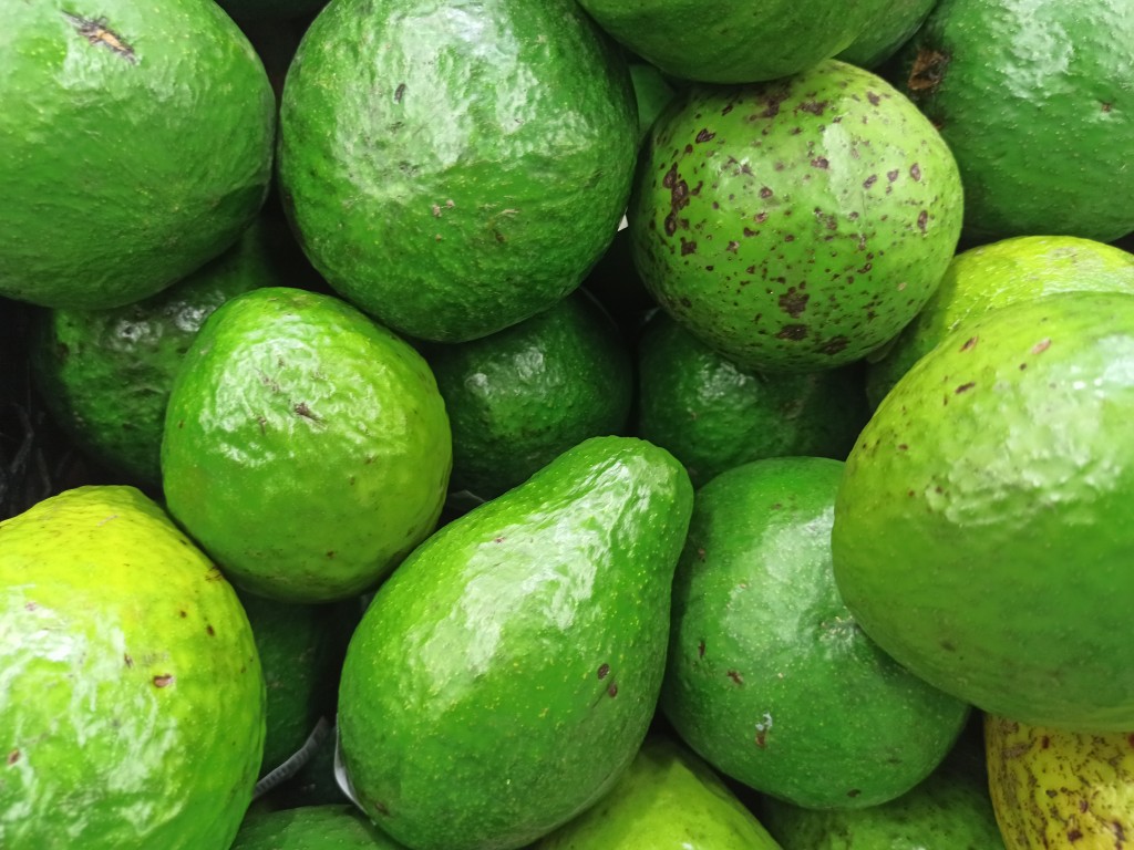 TOP 15 Exotic fruits you MUST try in the Dominican Republic - avocados