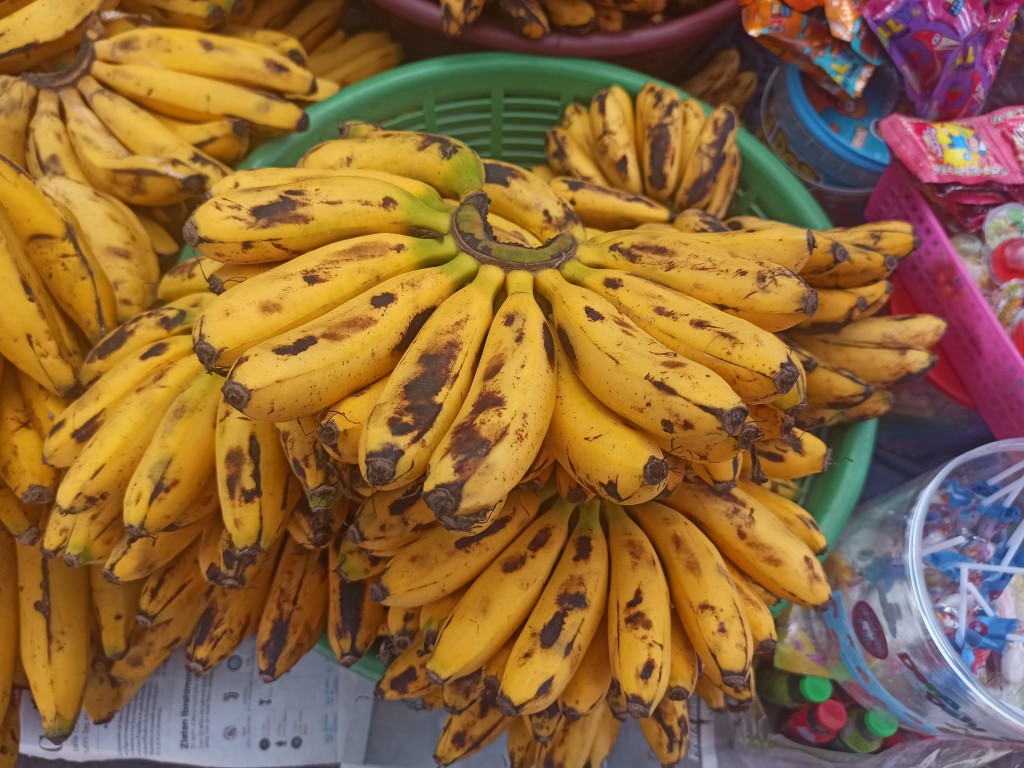 TOP 10 Guatemalan fruits for visiting Tikal and Uaxactun Mayan ruins - Ladyfinger Bananas