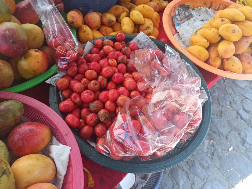 TOP 10 Guatemalan fruits for visiting Tikal and Uaxactun Mayan ruins - Jocote
