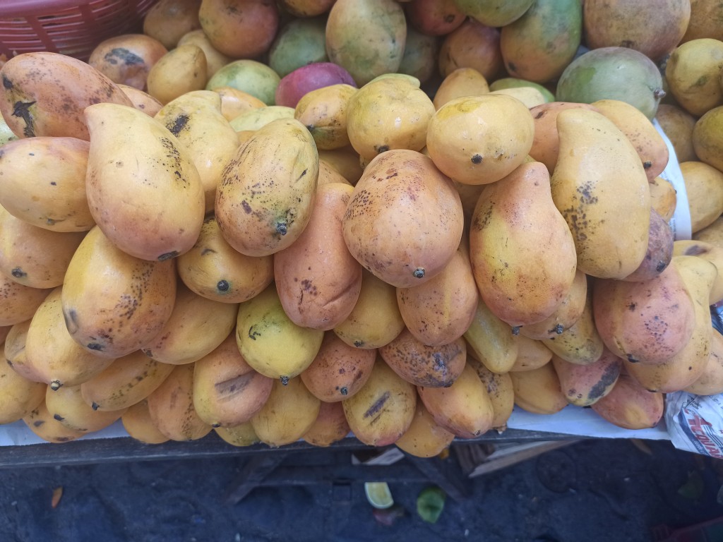 TOP 10 Guatemalan fruits for visiting Tikal and Uaxactun Mayan ruins - Mango