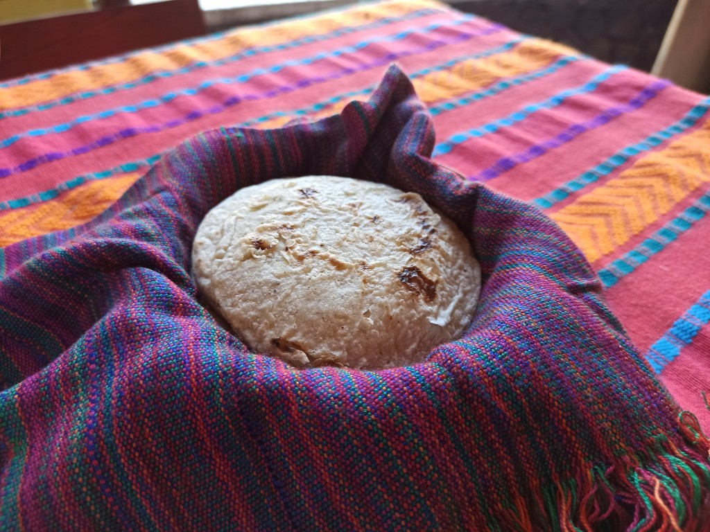 Pollo guisado – chicken stew served with tortillas