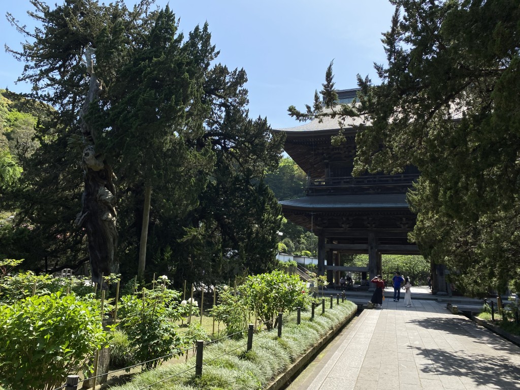 Main Gate (Sanmon) – Important Cultural Property Main Gate (Sanmon) – Important Cultural Property