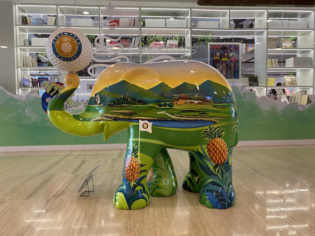 25. Ply Punta 25. Ply Punta