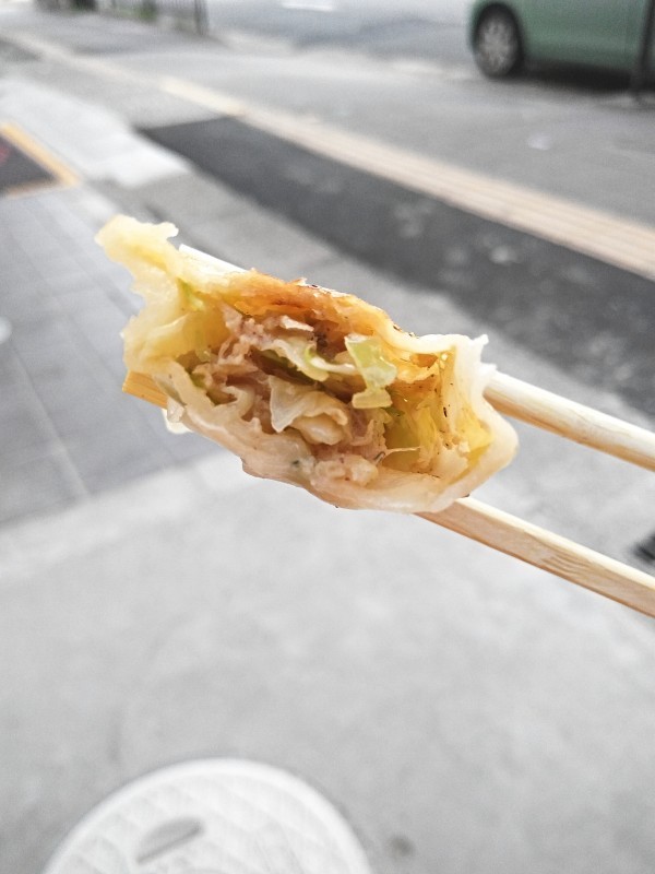 Gyoza - Japanese dumplings.