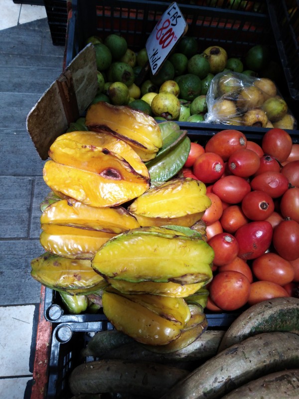 Costa Rican popular fruits - starfruit AKA carambola