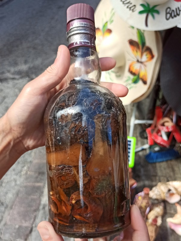 What is Mamajuana? What is Mamajuana?